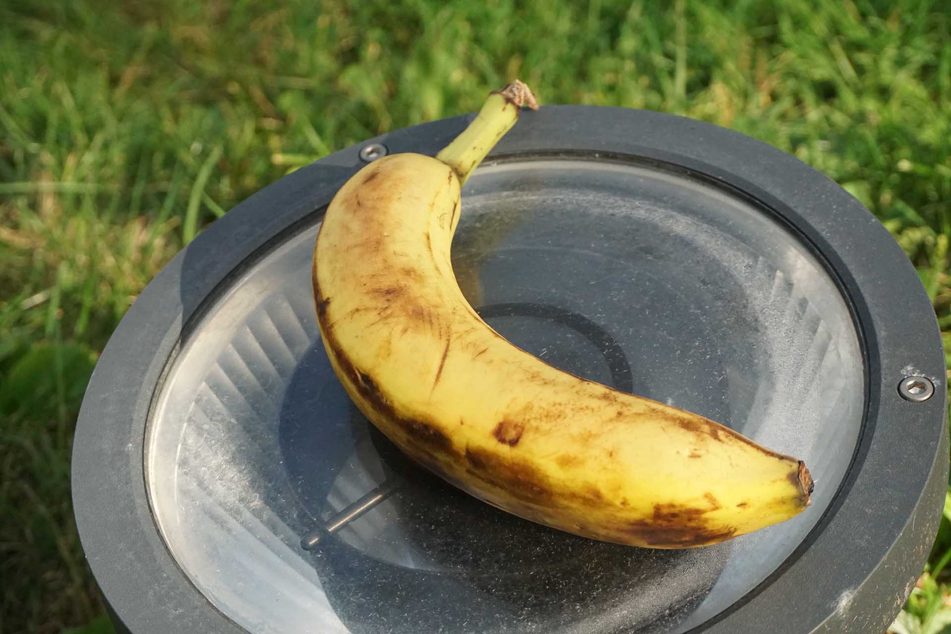 banana